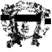 Three Talking Heads logo